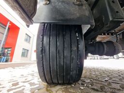 FLIEGL SZS320 / Hubdach / EDSCHA / Mega