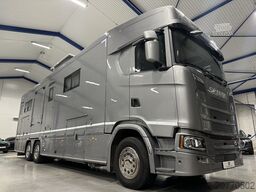 SCANIA Stephex STX S500 Horsetruck / Pop X2 /