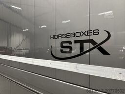 SCANIA Stephex STX S500 Horsetruck / Pop X2 /