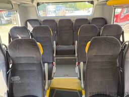 Volvo 8900. 13m. 5 Units!