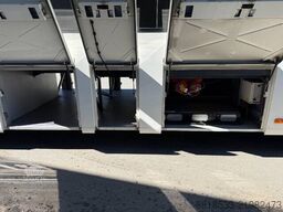 Volvo 8900. 12,2m. 19 Units!