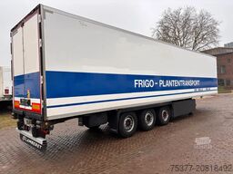 LAMBERET Maxima, 1300  LBW Taillfit , 265 cm height, Pal...