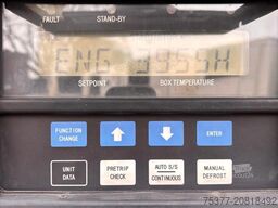 LAMBERET Maxima, 1300  LBW Taillfit , 265 cm height, Pal...