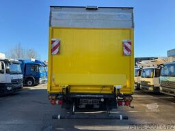 MERCEDES-BENZ ANTOS 2540 L Kühlkoffer 8,1 m LBW 2 T*CARRIER