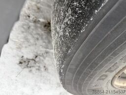 SCANIA P380   LB6 DAZU SCHUCH ASZ10011