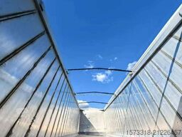 Wielton NW3A51BMKD68