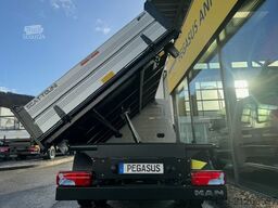 MAN TGE 5.160 Transporter 3seitenkipper NEU 5t.