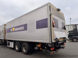 Rohr RZK/18 IV Kühlkoffer Carrier Bär LBW