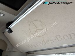 Mercedes-Benz Actros 2542 LL BDF Pritsche + Mitnahmestapler