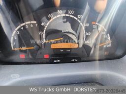 MERCEDES-BENZ Sprinter 411 CDI Viehtransporter