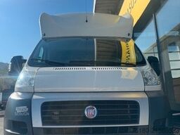 FIAT Ducato 2 Pferdetransporter Honorio Verso EQ2