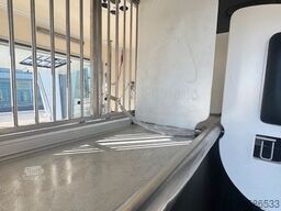 FIAT Ducato 2 Pferdetransporter Honorio Verso EQ2