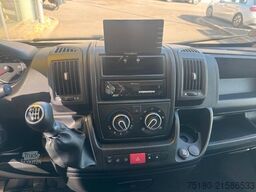 FIAT Ducato 2 Pferdetransporter Honorio Verso EQ2