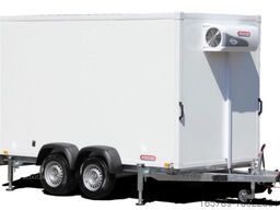WOERMANN Freeze Liner 3536/180