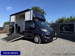 Peugeot Boxer | HORSETRUCK | MVV | STALLION 3XL | 2015 ...