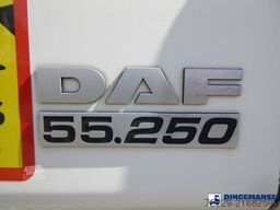 DAF LF 250 FA 4X2 Carrier Supra 750 frigo