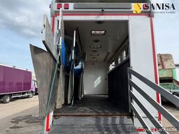 MERCEDES-BENZ Actros1831 /Pferdetransporter/7 Boxen/Wohabteil