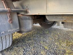 System Trailer 3achs Mega 2,9m hoch Carrier 1850 Portal