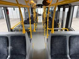 Mercedes-Benz Citaro G. 43 Units!