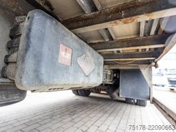 LECITRAILER CUELLO CISNE 3E-RD+DOUBLE ETAGE+DHOLLANDIA 2TON