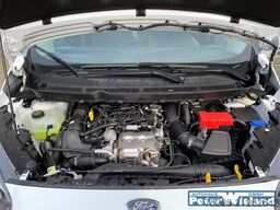 Ford Transit Courier Trend 1.0 EcoBoost EU6d TREND 1.0L EB DAB SHZ Notbremsass. Tel.-Vorb.