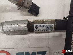 Caterpillar Hose Caterpillar