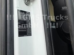 MERCEDES-BENZ Actros 1845 / Park Cool / 2 Tank / Mirror Cam