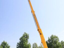 Dieci PEGASUS 50.21 | FORKS | HOOK BLOCK | GOOD CONDI...