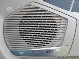 DAF FT XG+ 530