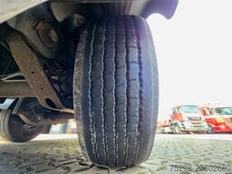 BERGER SAPL 24 / Coilmulde / EDSCHA