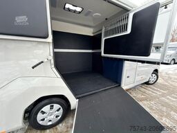 RENAULT Master STX 5 Sitzer Haras ex. Lang Automatik