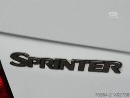 MERCEDES-BENZ Sprinter 313 Cdi Maxi Flex-i-Trans 9 Sitze+Lift