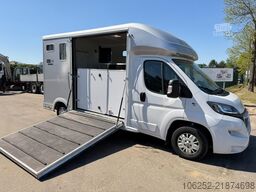 Peugeot Equi-Trek Sonic SW35P (2) HORSE TRUCK / PAARDEN...