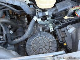 Peugeot Equi-Trek Sonic SW35P (2) HORSE TRUCK / PAARDEN...