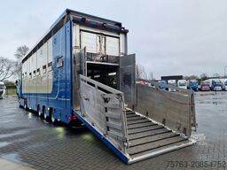 Volvo FH 500 4x2 + 2 deck livestock - Ventilation - M...