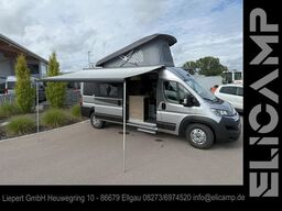 ROBETA Womondo Lifestyle 600 Aufstelldach - Lithium