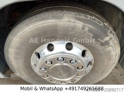 SCANIA R440 BL 6x2 *Retarder/Gebläse/Lenk+Lift