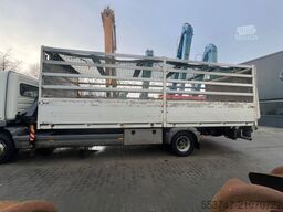 Mercedes-Benz Atego 1222