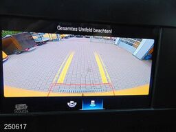 MERCEDES-BENZ Sprinter 314 CDI KLIMA-KAMERA-REGALSYSTEM