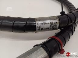 Caterpillar Hose Caterpillar