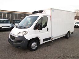 FIAT Ducato 130 *Maxi-Carrier Tiefkühler*Euro6*