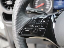 Mercedes-Benz Vito 116 CDI Kasten Lang Holz Navi Kamera Spu