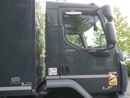 DAF LF 290 / 21 EPAL box / 2021