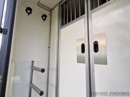 Renault Master Hengsten uitvoering dubbele cabine paard...