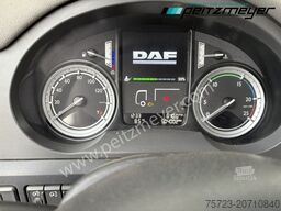 DAF CF 440 FAK 8x2 Fahrgestell