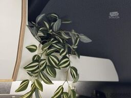 YUCON Microliner 7.0 GD 4.1 t 4x4 K-Peak 360° Kamera