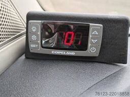 IVECO Daily C 65 Lagerfahrzeug Stock 519 Sofort