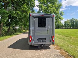 Renault Master STX Renault Master S3 pro-safety paarden...
