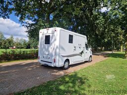 Renault Master Demo S3 Anemone paardenwagen Pro-Safety ...