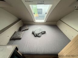 T@b BASIC 400 1500kg+12V-Anlage+Ambientebel.